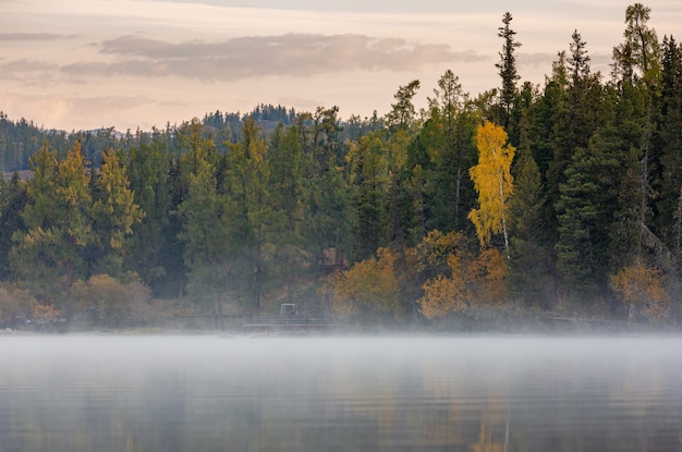 Foto nebel und nebel im morgenlicht schweben über dem kanas see mit den laubbäumen und alpen