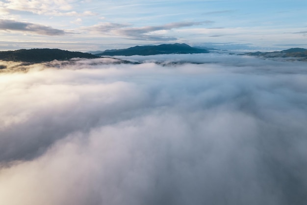 Nebel und Wolken am Morgen im Wald