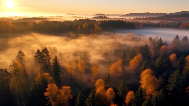 Nebelfarbener Wald bei Sonnenaufgang