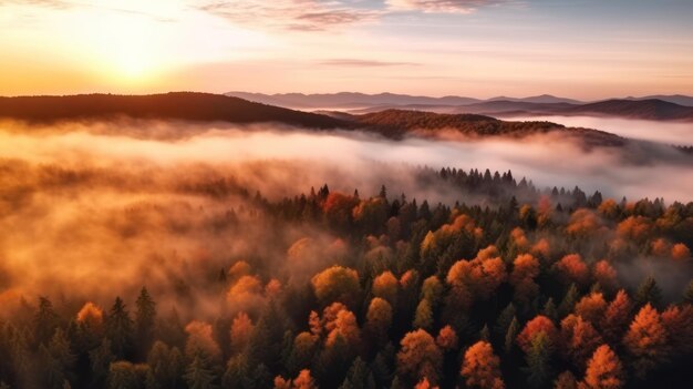 Nebelfarbener Wald bei Sonnenaufgang