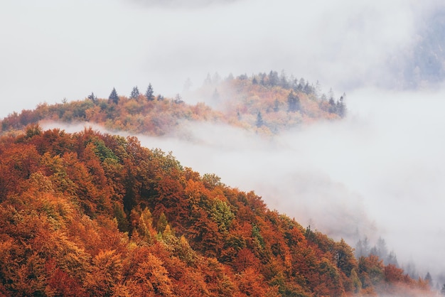 Nebelhafte Berglandschaft