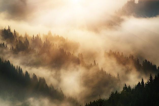 Nebelhafte Berglandschaft