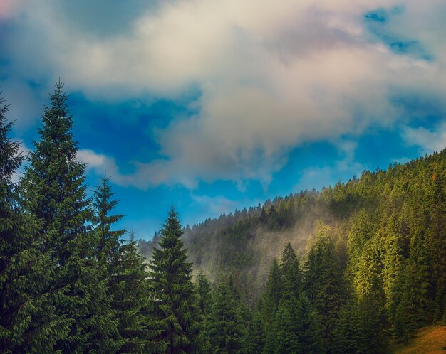 Nebelhafte Berglandschaft