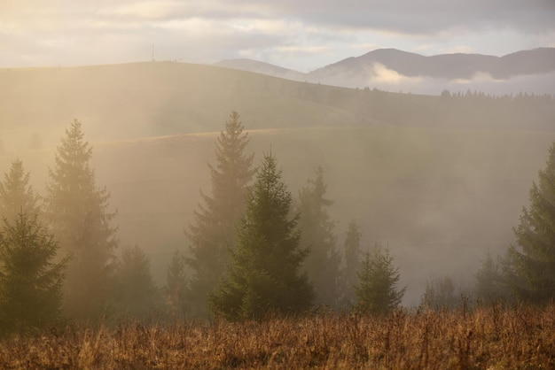 Nebelhafte Herbstlandschaft