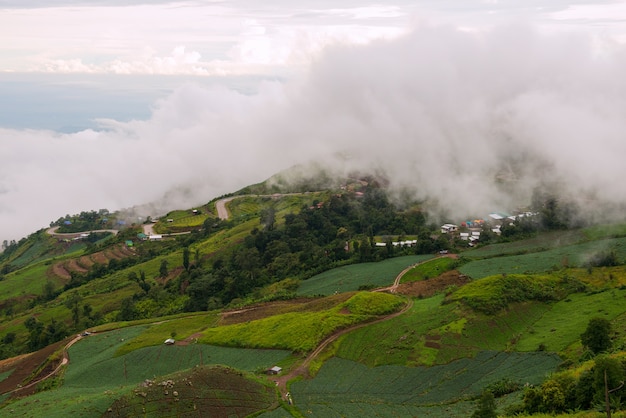 Nebelhafte Landschaft mit bewölktem auf dem Berg an Provinz Kaokho, Petchabun, Thailand