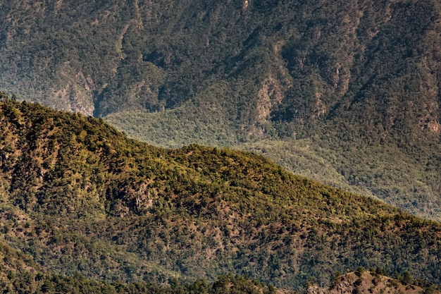 Foto nebelhafter morgen im doi ang khang, chiang mai, thailand