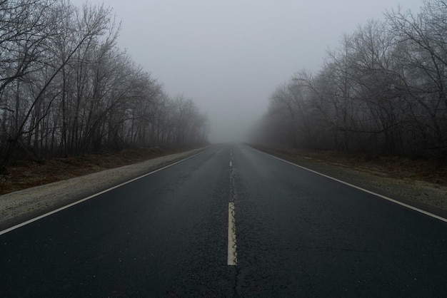 Nebelhafter Waldweg im Nebel