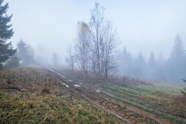 Nebelige Herbstberg-Sonnenaufgangsszene Ruhige malerische reisende saisonale Natur- und Landschaftsschönheitskonzeptszene