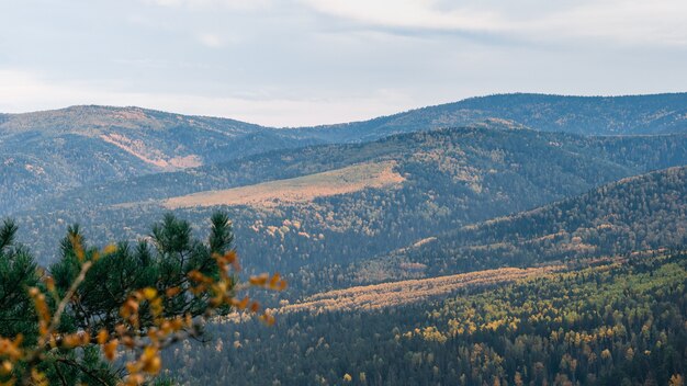 Nebelige Herbstlandschaft von Bergen bedeckt mit grünen Bäumen und gelben Birken, natürlicher Herbsthintergrund. Vogelperspektive.