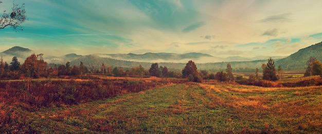 Nebelige Herbstlandschaft