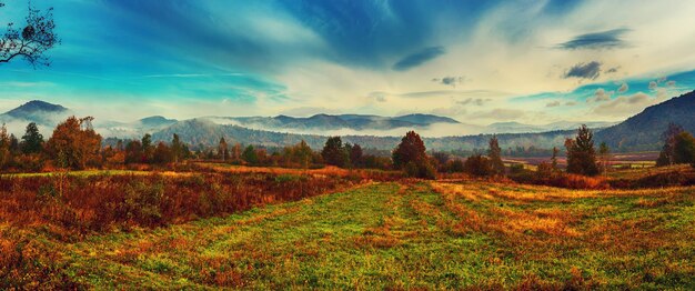 Nebelige Herbstlandschaft