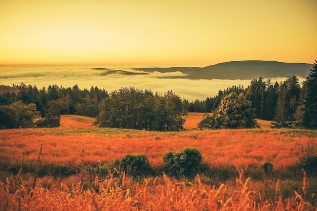 Nebelige Landschaft bei Sonnenuntergang