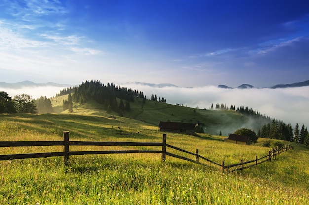 Nebelige Morgenlandschaft