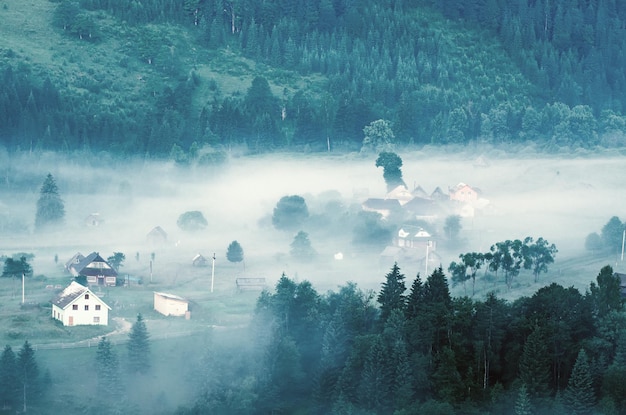 Nebelige Morgenlandschaft