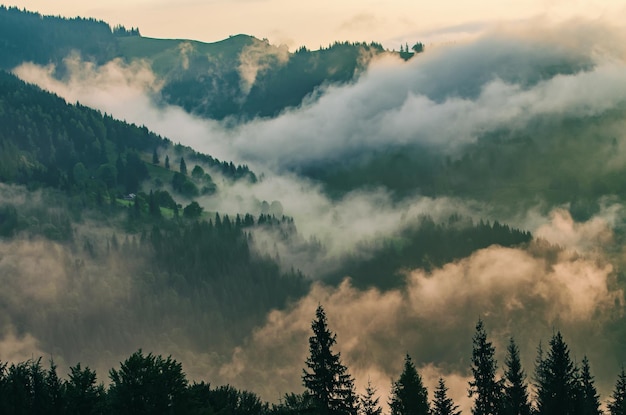 Nebelige Morgenlandschaft