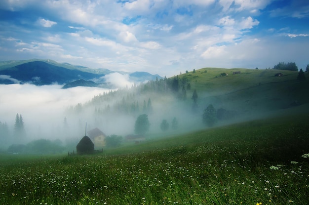 Nebelige Morgenlandschaft