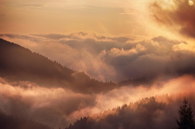 Nebelige Morgenlandschaft