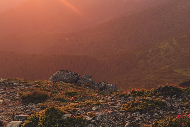 Nebelige Morgenlandschaft