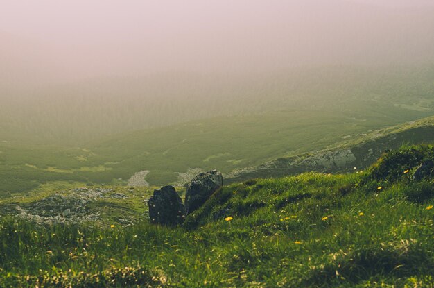 Nebelige Morgensommerfeenlandschaft mit grünem Gras, Felsen und Kopienraum