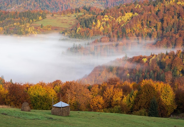 Nebelige Morgenwolken im Herbst Berglandschaft Ukraine Karpaten Transkarpatien