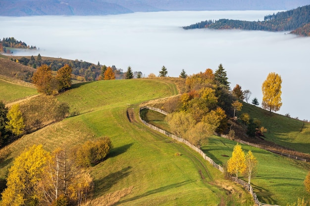 Nebelige Morgenwolken in der Herbstberglandschaft Ukraine Karpaten Transkarpatien Ruhige malerische reisende saisonale Natur- und Landschaftsschönheitskonzeptszene