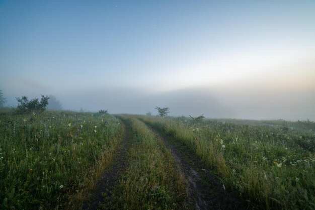 Nebelige Sommermorgenlandschaft mit Schotterweg und kurzer Sicht