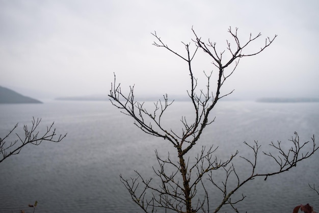 Nebeliger Fluss mit Klippenlandschaft