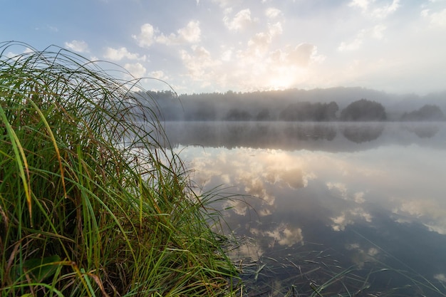 Nebeliger See bei Sonnenaufgang im europäischen Sommer