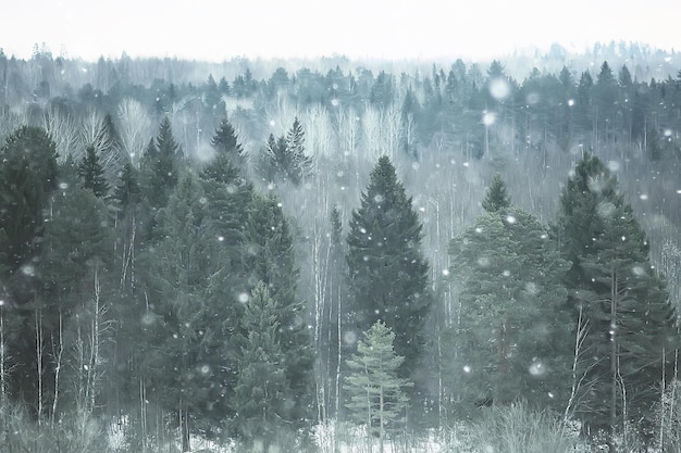 Nebellandschaft Schneefall Winterlandschaft kaltes saisonales Wetter, Natur in Winterform, Nebel draußen