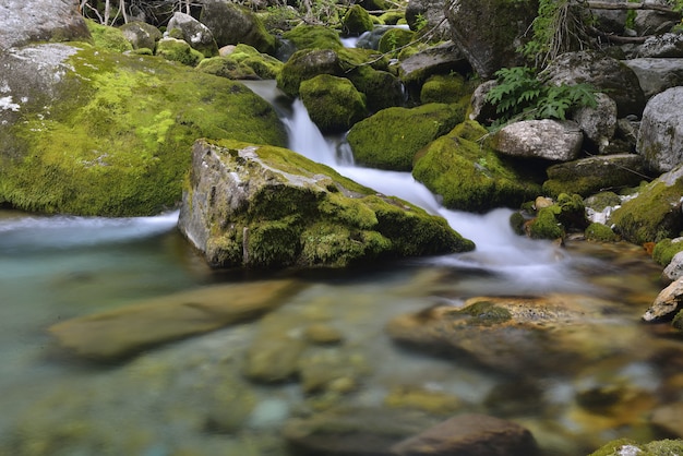 Nebenfluss im Valle Pesio