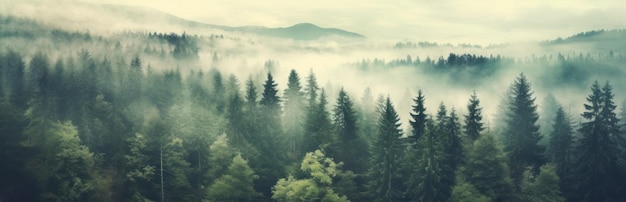 Neblige Berglandschaft Stimmungsvolle Waldlandschaft mit Nebel und Dunst Generative KI