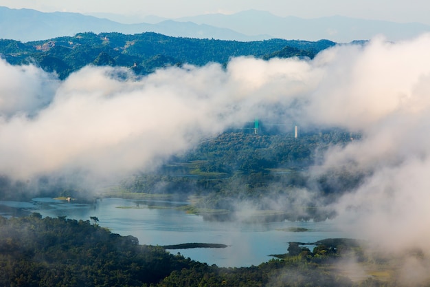 Neblige Landschaft mit Tannenwald im Retro-Stil des Hipster-Vintagen