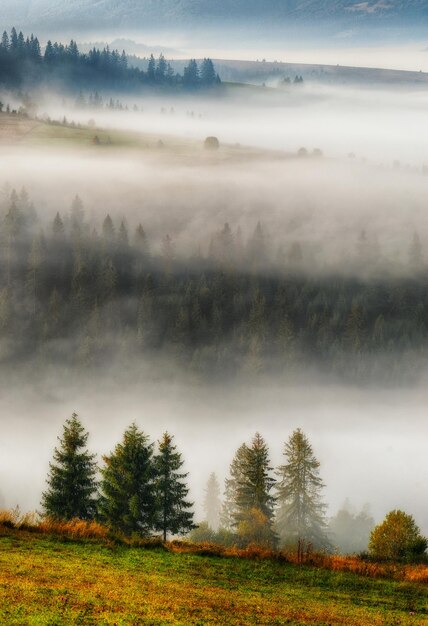 nebligen Herbstmorgen in den Karpaten