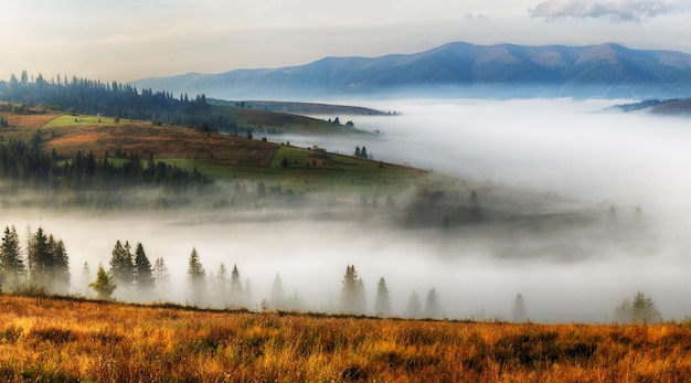 nebligen Herbstmorgen in den Karpaten