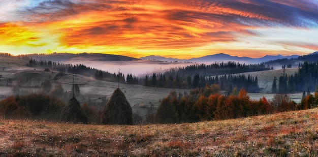 nebligen Herbstmorgen in den Karpaten