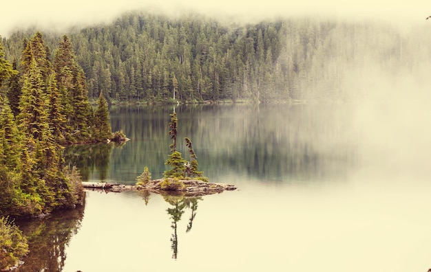 Nebliger Bergsee am frühen ruhigen Morgen in den Bergen.