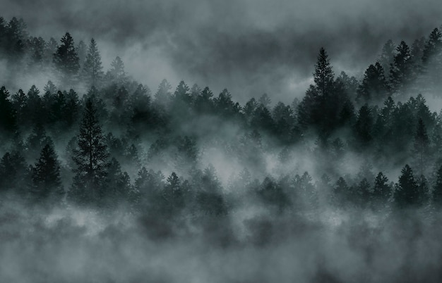 Nebliger dunkler Wald. Nebel, Smog. Wilde Waldnatur, Waldlandschaft. Dunkler Wald, Nachtansicht