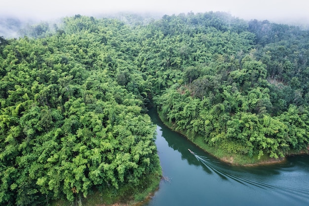 Nebliger Fluss und Bootsfahrt im tropischen Regenwald mit üppigem Ökosystem am Morgen