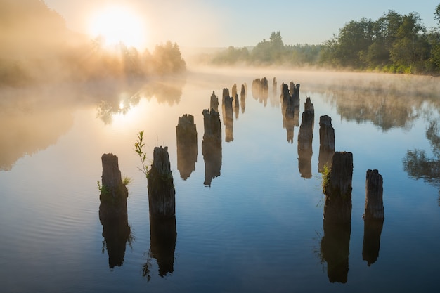 Nebliger Morgen am Fluss.