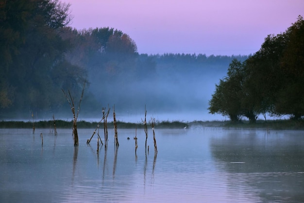 Nebliger Morgen am Fluss