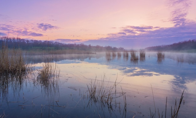 Nebliger Morgen am See