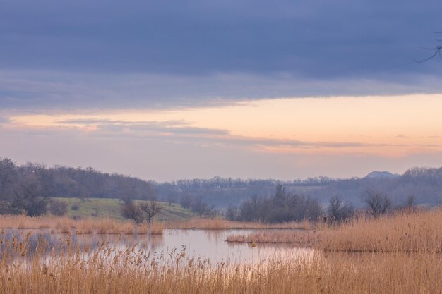 Nebliger Morgen am See