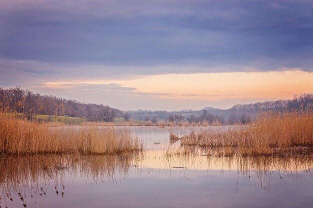 Nebliger Morgen am See