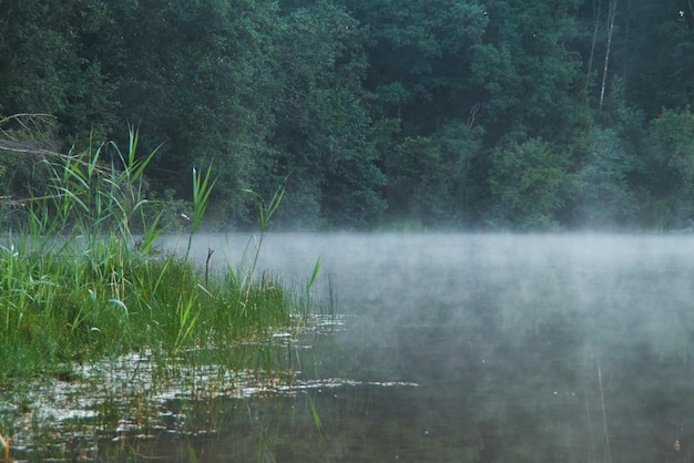 Nebliger Morgen auf dem See