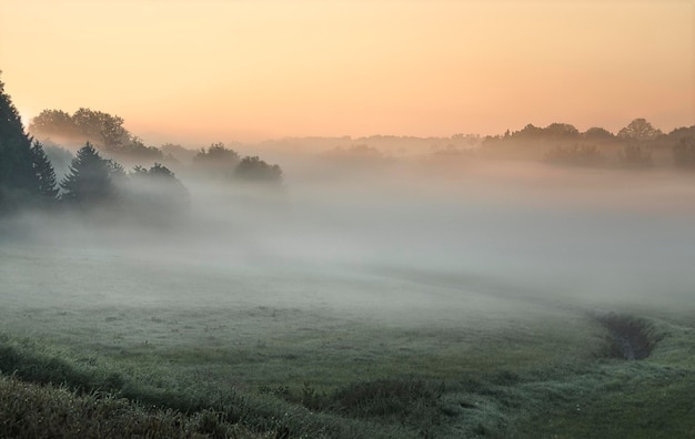 Nebliger Morgen in den Bergen