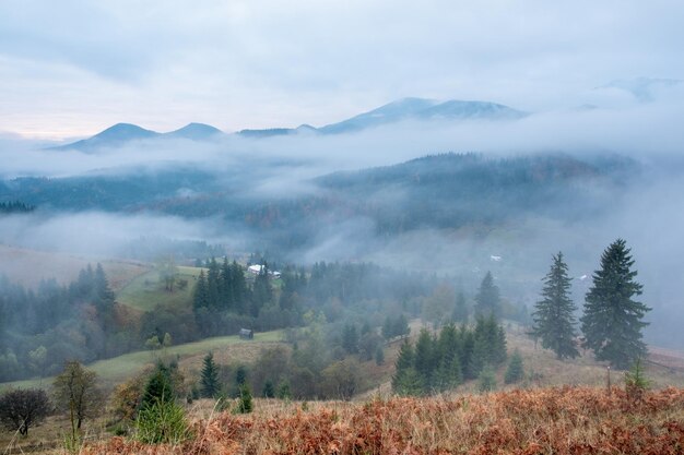 Nebliger Morgen in den Karpaten im Herbst Weißer Nebel über der verträumten Bergkette, die mit grünem Wald bedeckt ist