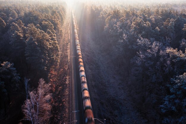 Nebliger Sonnenaufgang, der Waren durch den Wald transportiert