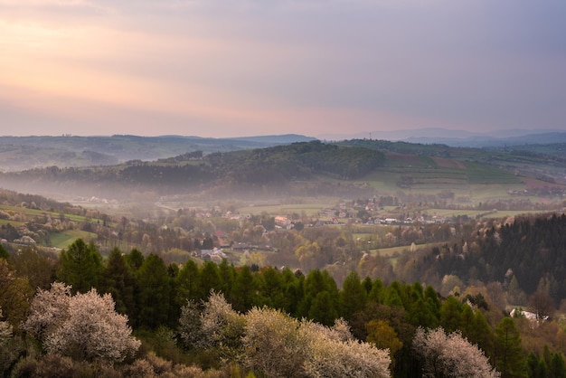 Nebliger Sonnenaufgang in der ländlichen Landschaft im Frühling