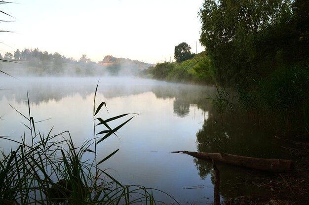 Neblina brumosa en el río por la mañana