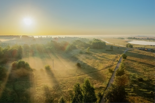 Neblina de verão sobre o campo